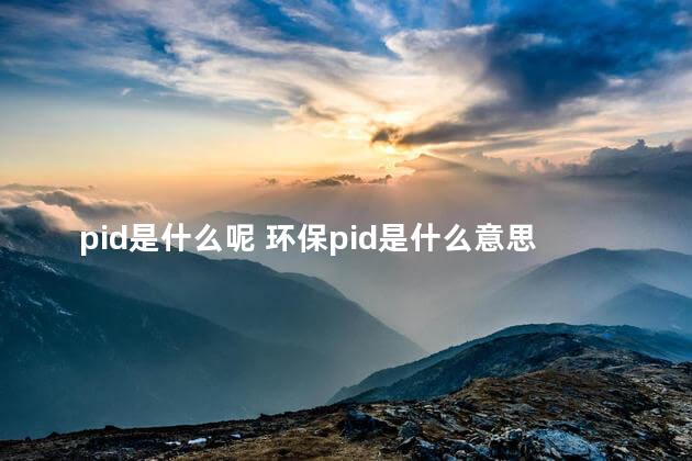 pid是什么呢 环保pid是什么意思